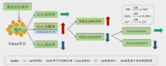 改良fenton深度处理技术