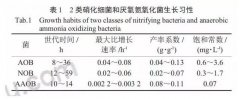 污水处理厌氧氨氧化的工艺研究和应用